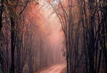 皇家马德里横扫贝尔格莱德红星队