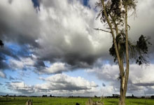 女足欧洲挑战联赛揭幕