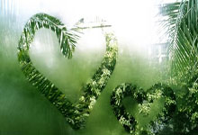 皇家马德里横扫贝尔格莱德红星队