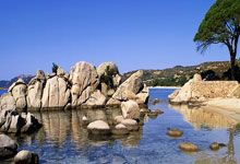 水晶宫全球线铁桶阵坚不可破，连续不败